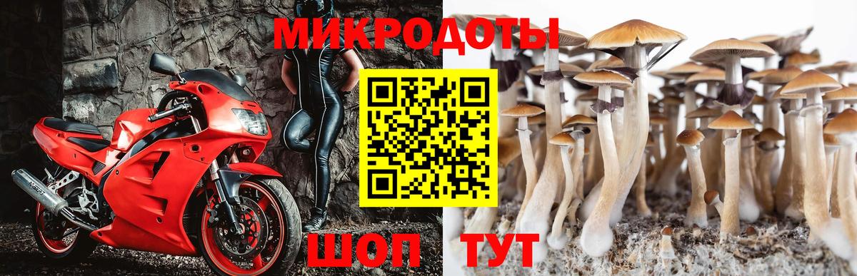 Галлюциногенные грибы Cubensis  Вход с VPN  Псилоцибиновые грибы Psilocybine cubensis  Мурино 