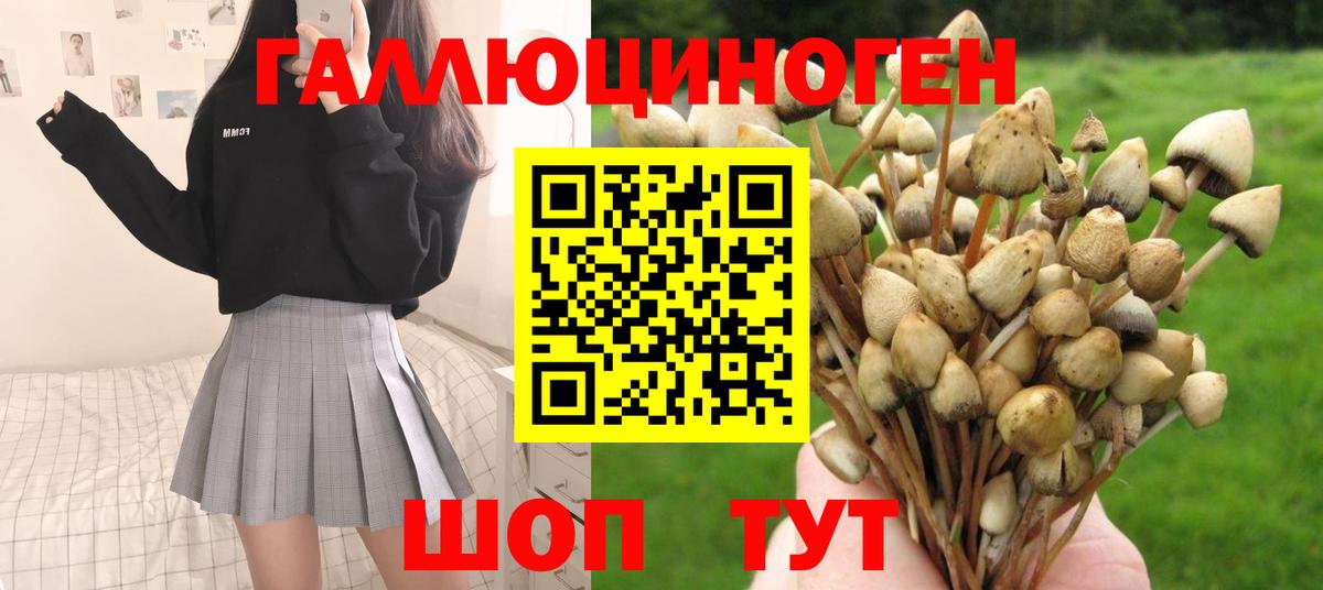 Галлюциногенные грибы MAGIC MUSHROOMS Мурино